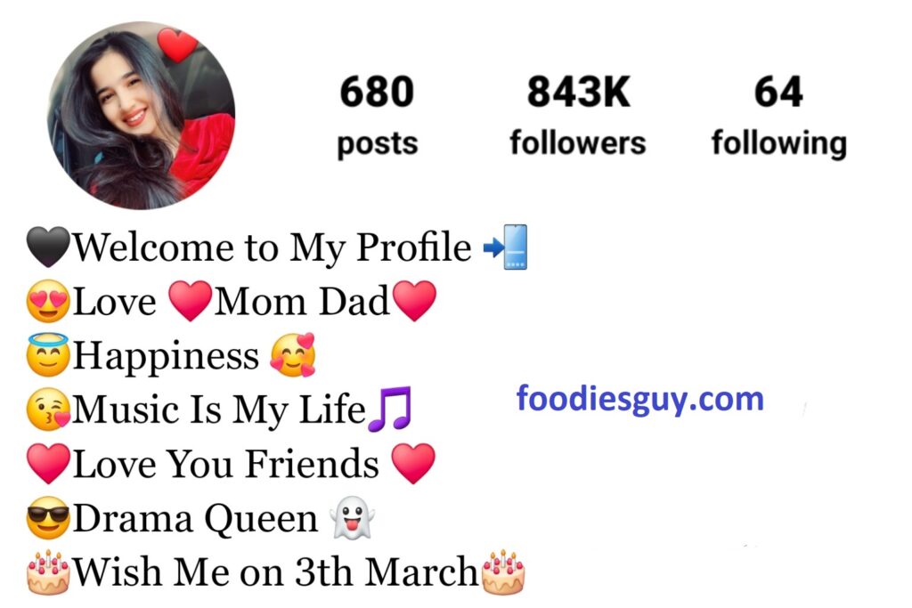 Instagram Stylish VIP Bio for girls