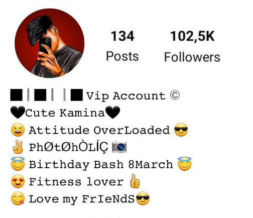 Instagram Stylish Vip Bio