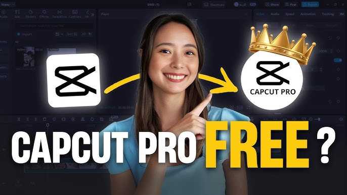 CapCut Premium